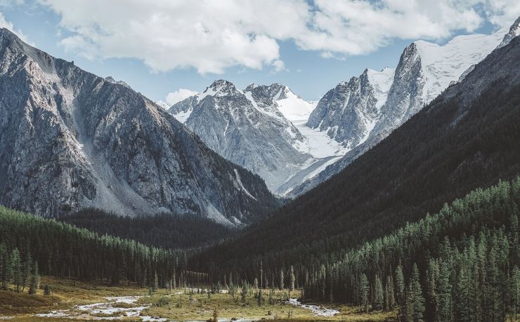 移民塞浦路斯咨询